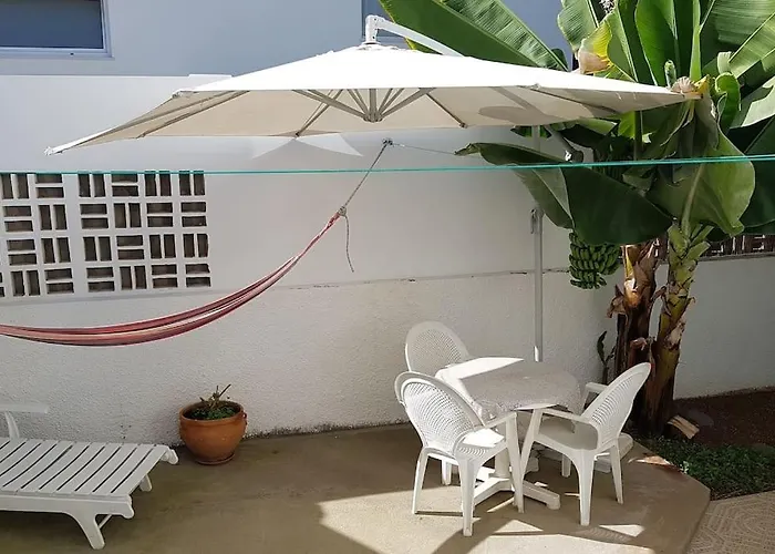 Luminoso Con Patio Y Jardin アパート *