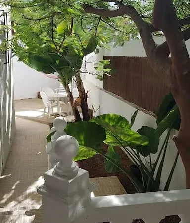 Luminoso Con Patio Y Jardin * Пуэрто-де-ла-Крус