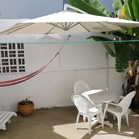 Luminoso Con Patio Y Jardin Apartment *