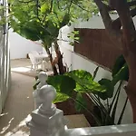 Luminoso Con Patio Y Jardín * Puerto de la Cruz (Tenerife)