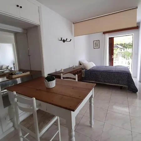 Luminoso Con Patio Y Jardin *