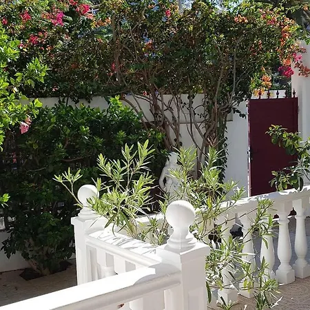 Luminoso Con Patio Y Jardin Lejlighed *