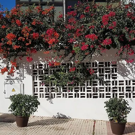 아파트 Luminoso Con Patio Y Jardin *