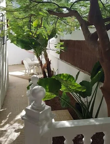 Luminoso Con Patio Y Jardin * 푸에르토 드 라 크루즈