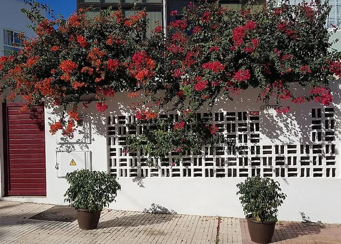 아파트 Luminoso Con Patio Y Jardin *